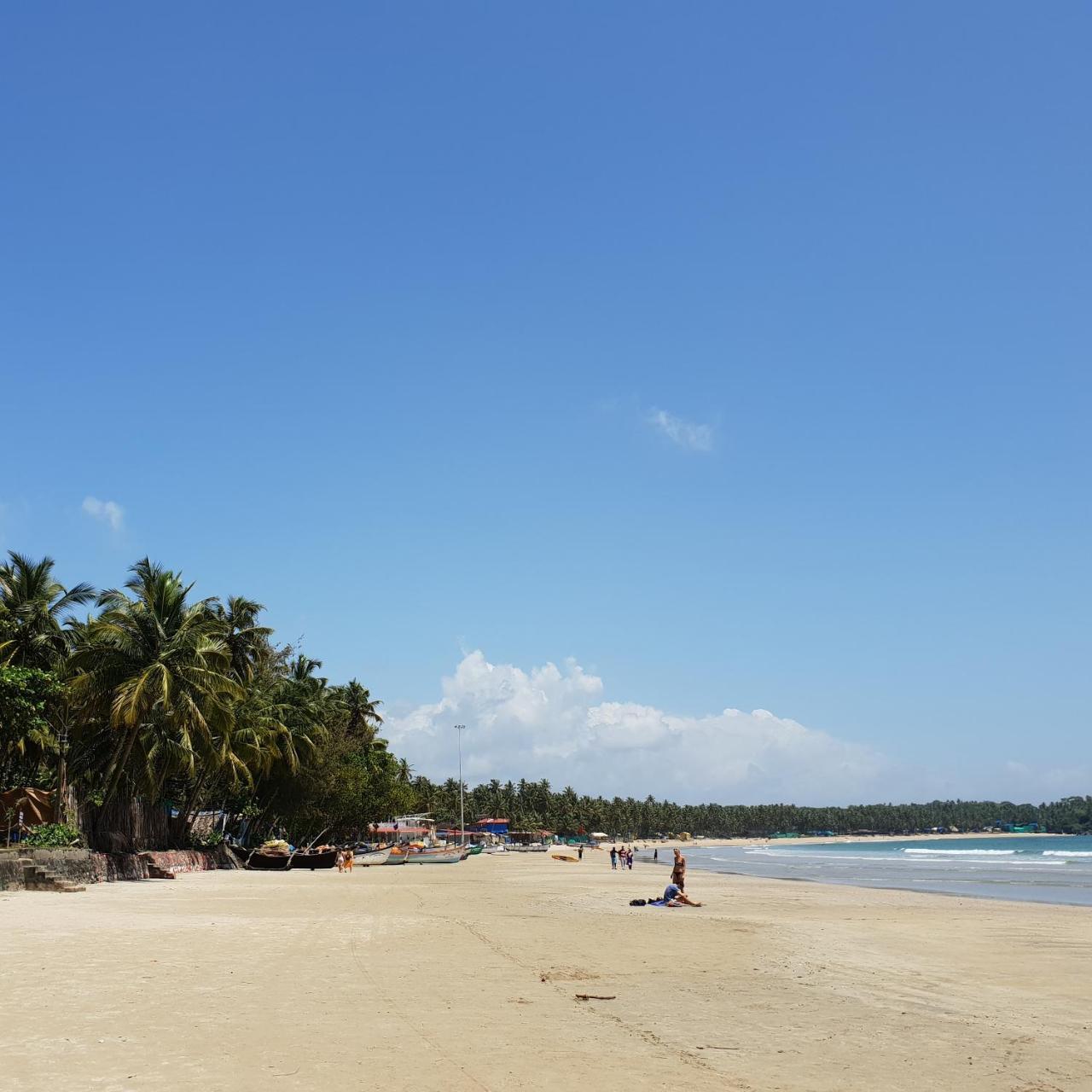 Palm Forest Палолем Екстер'єр фото