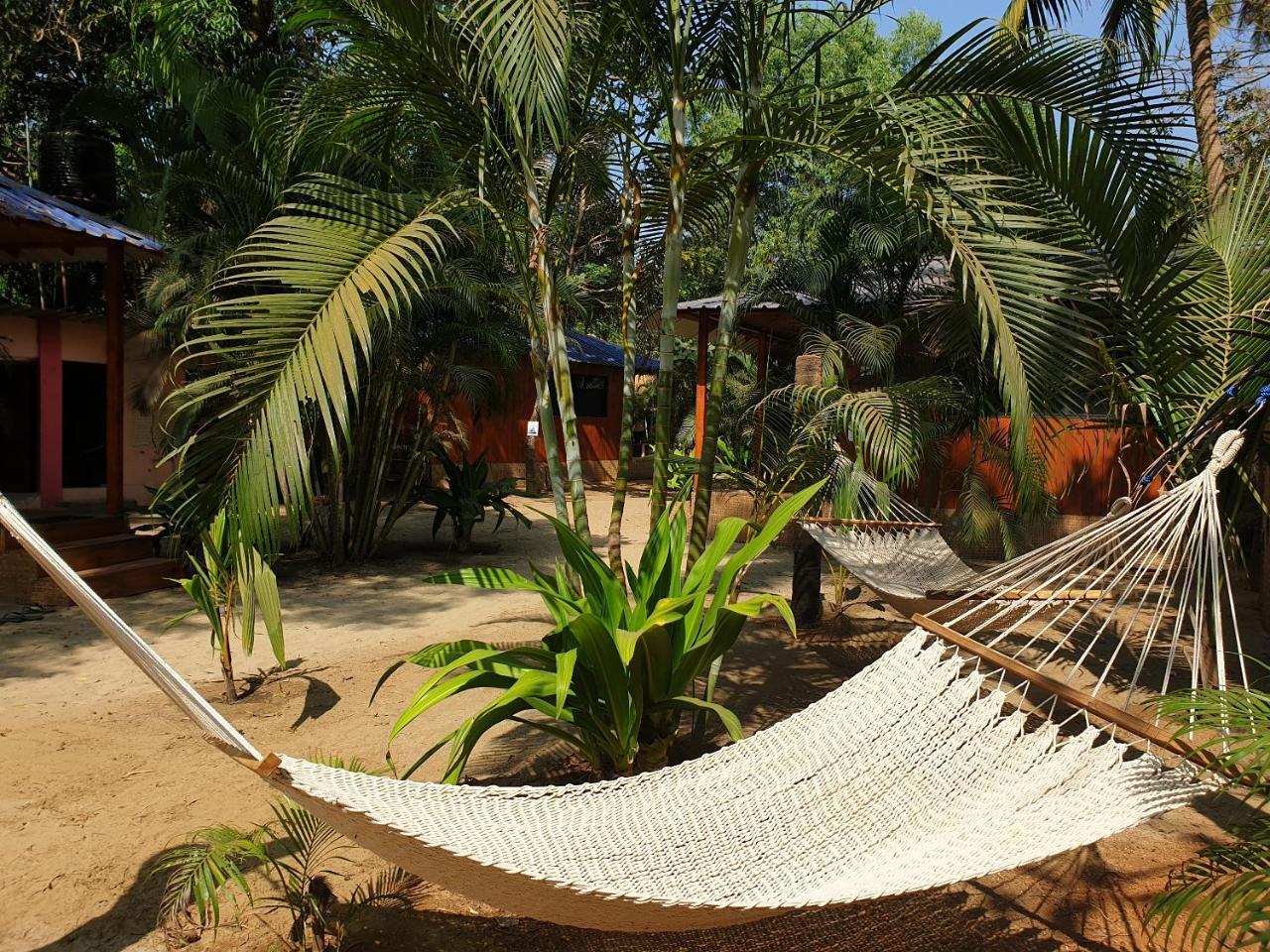 Palm Forest Палолем Екстер'єр фото